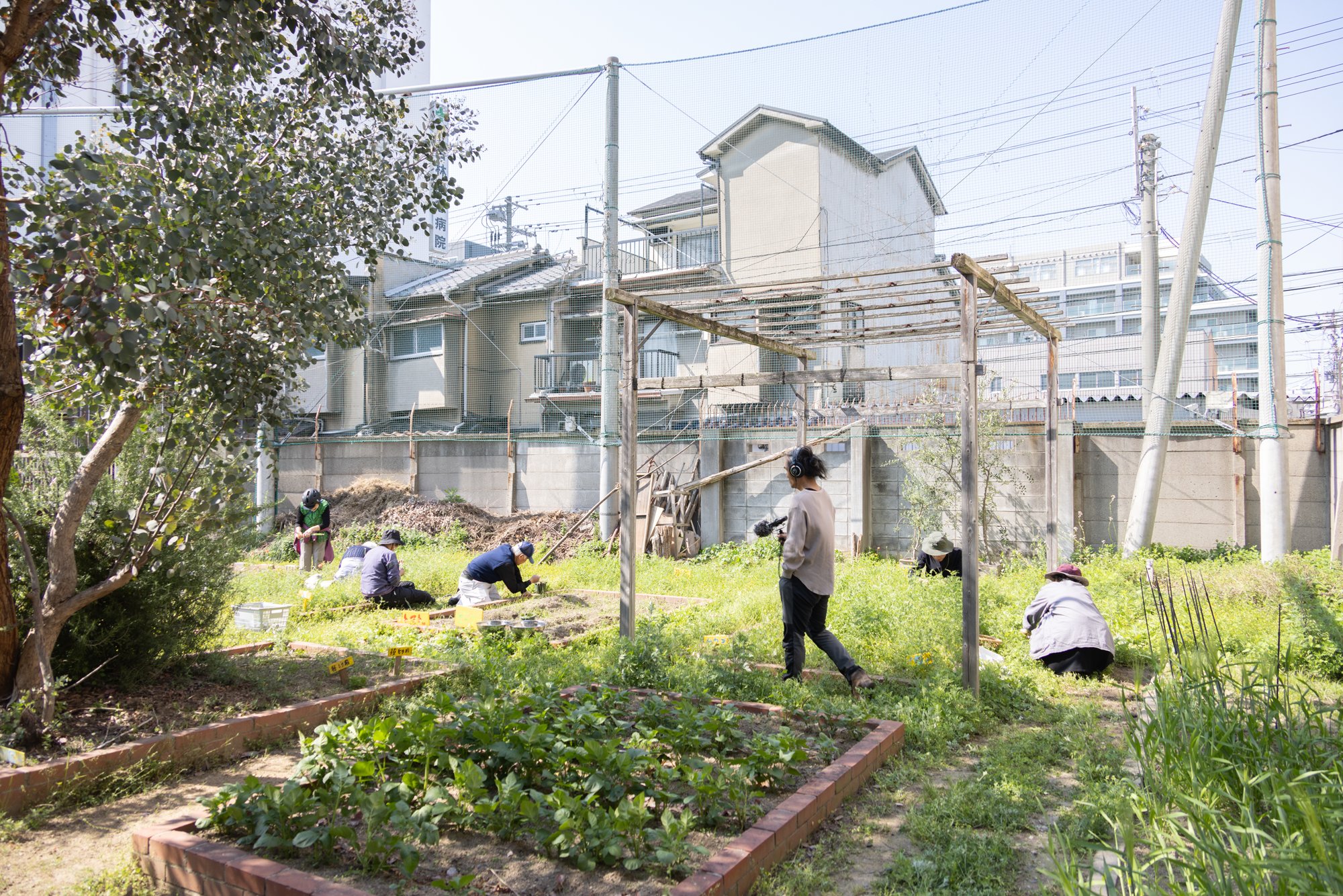 12月のオープン日について